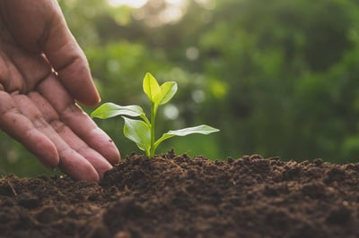 Soil Health