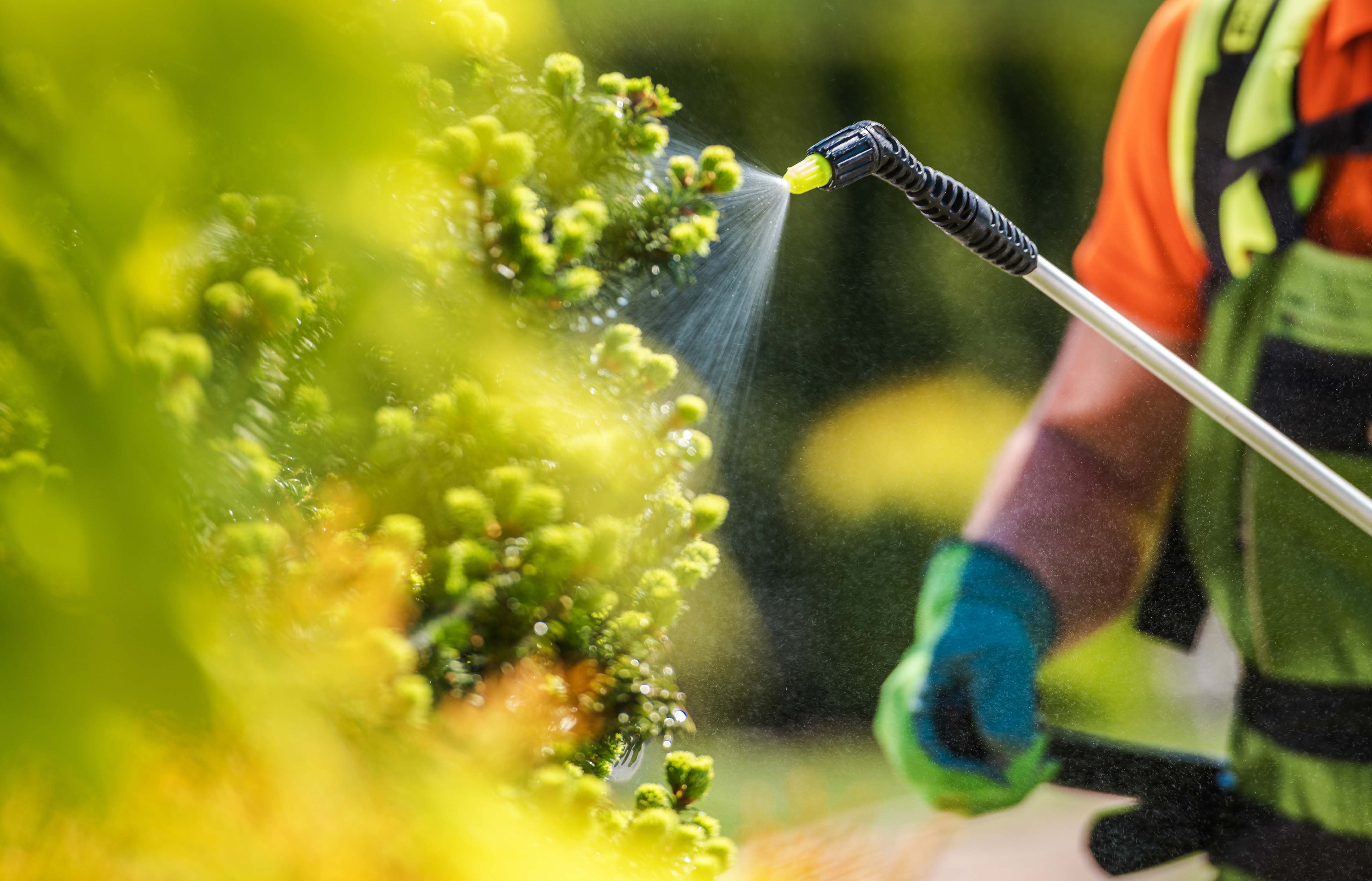 insecticide-job-and-fertilizer-equipment-2021-08-30-16-33-18-utc copy