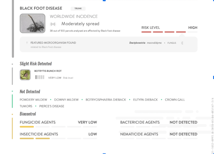 Sample report