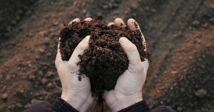 el suelo contiene millones de microbios