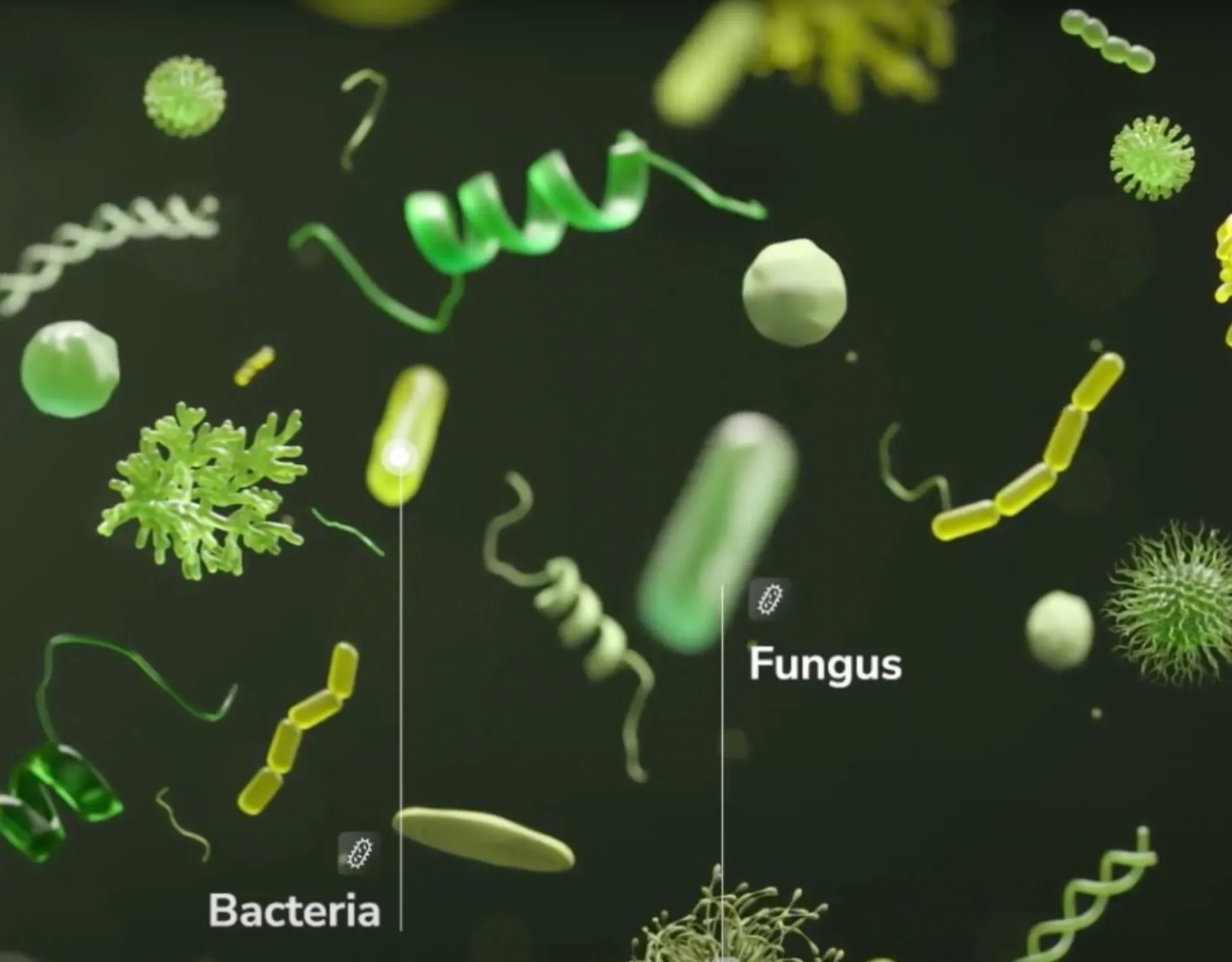 6 ways microbes fight climate change